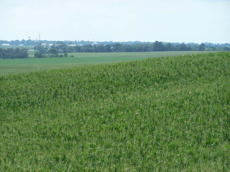 Available Iowa Properties Iowa Farmland Brokers IA, IL, NE