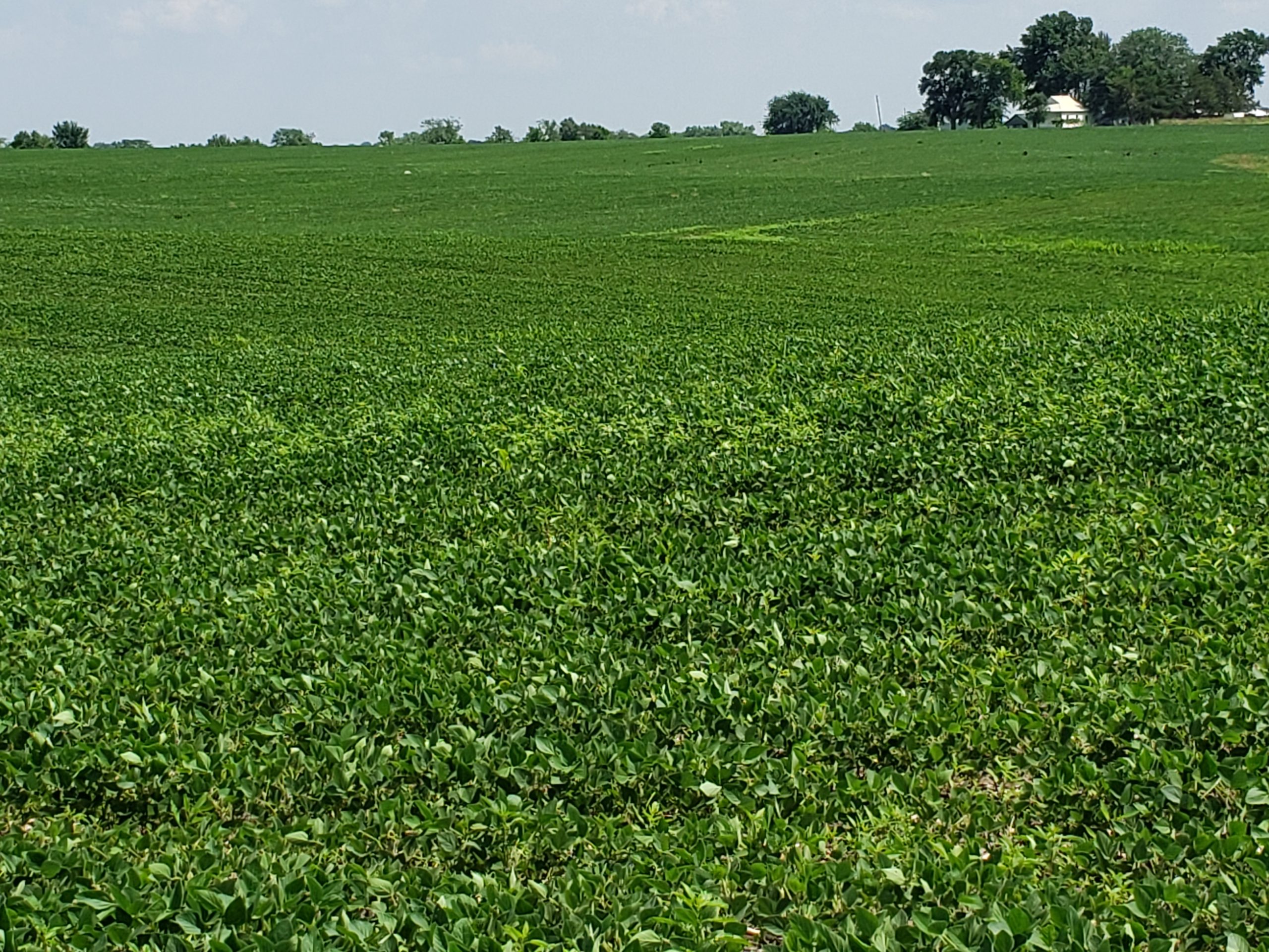 Sold: $12,500,000. / $4,621. per Acre