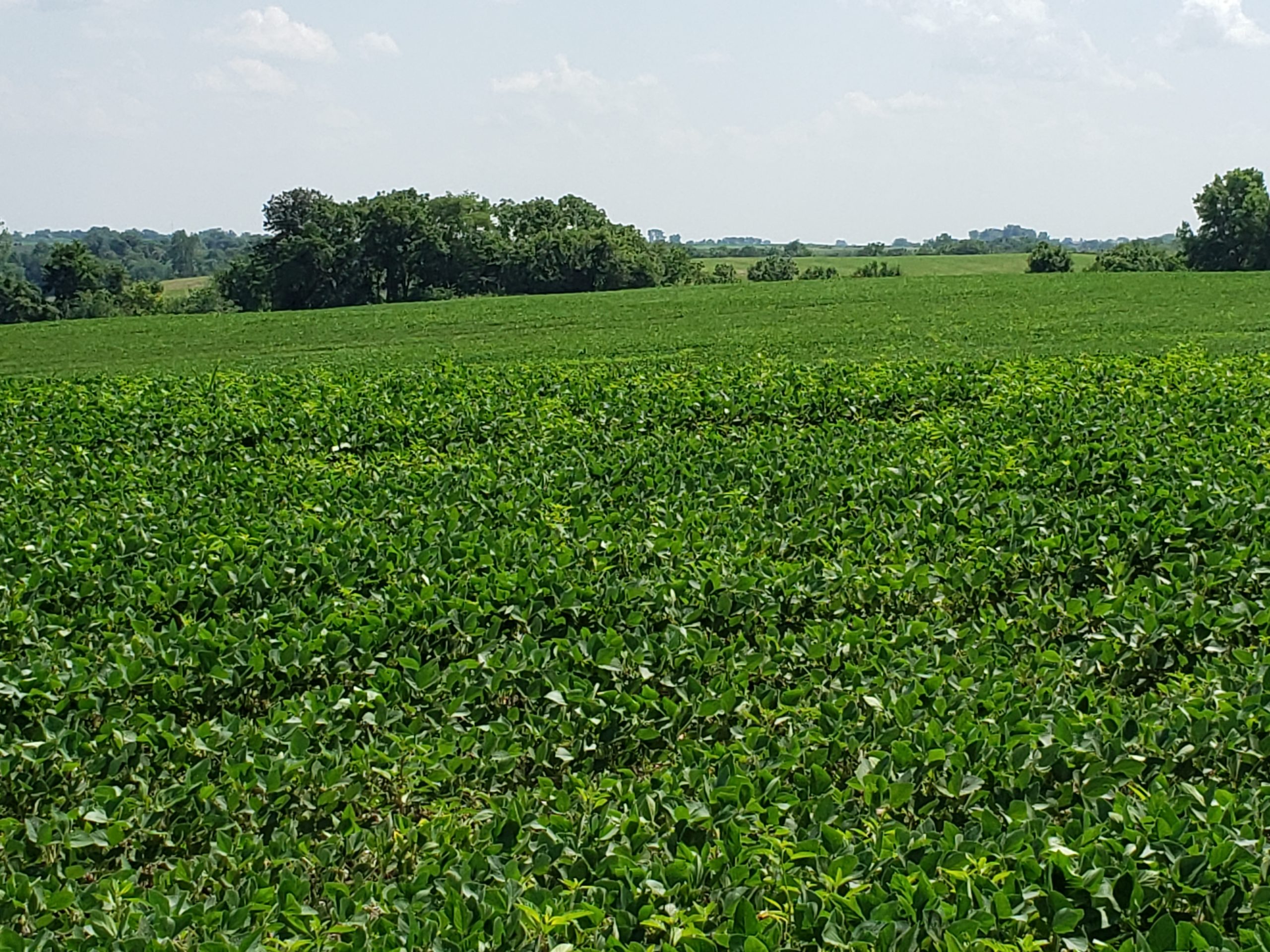 Sold: $12,500,000. / $4,621. per Acre