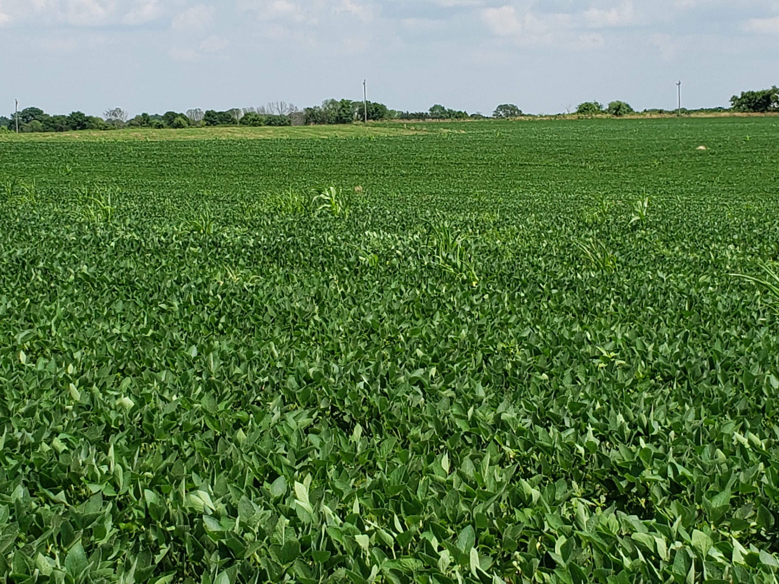 Sold: $12,500,000. / $4,621. per Acre