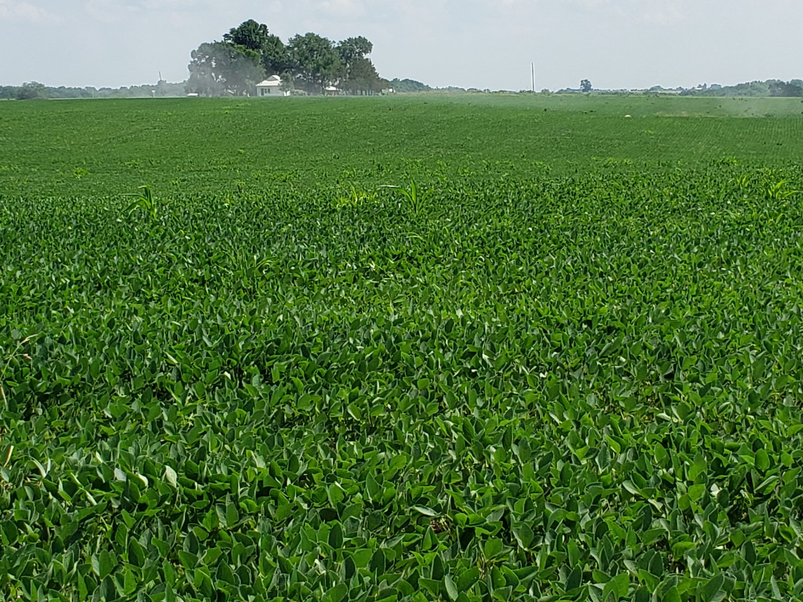 Sold: $12,500,000. / $4,621. per Acre