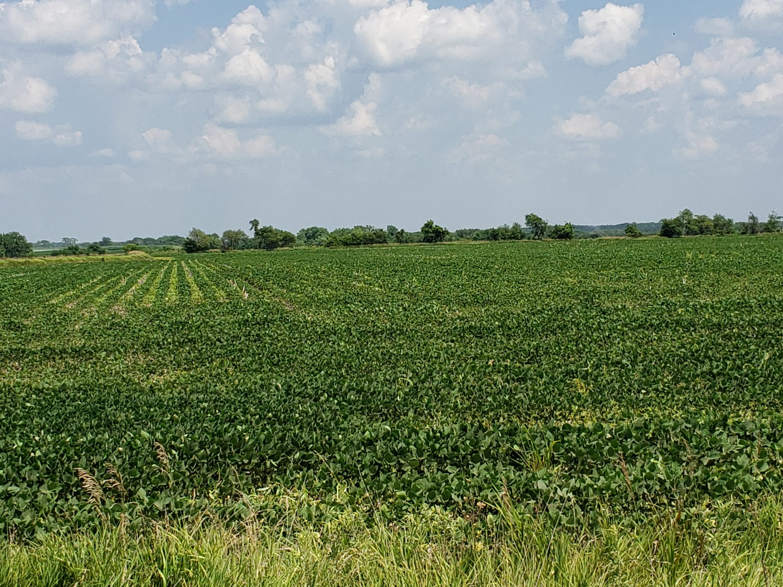 Sold: $12,500,000. / $4,621. per Acre