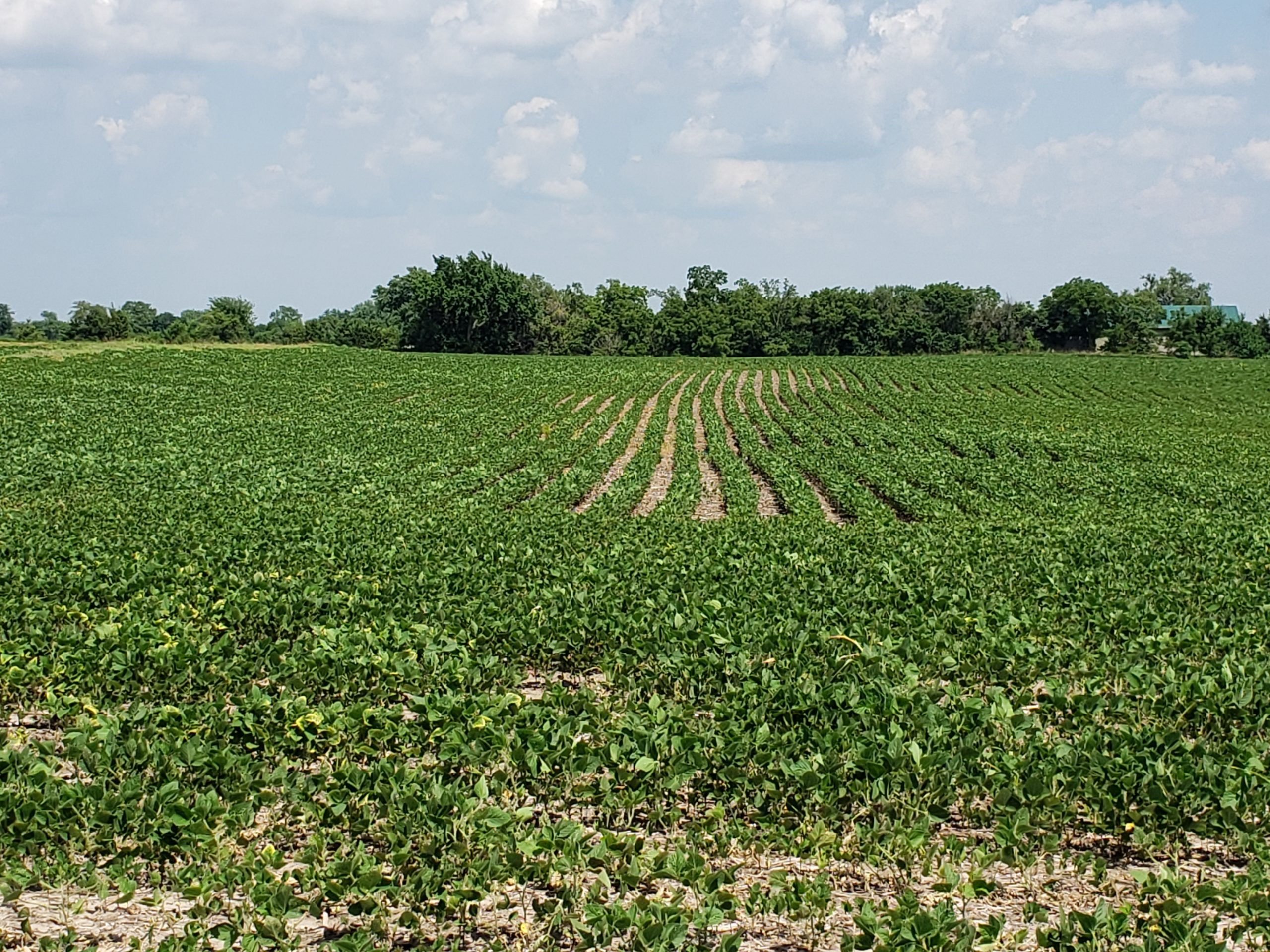 Sold: $12,500,000. / $4,621. per Acre