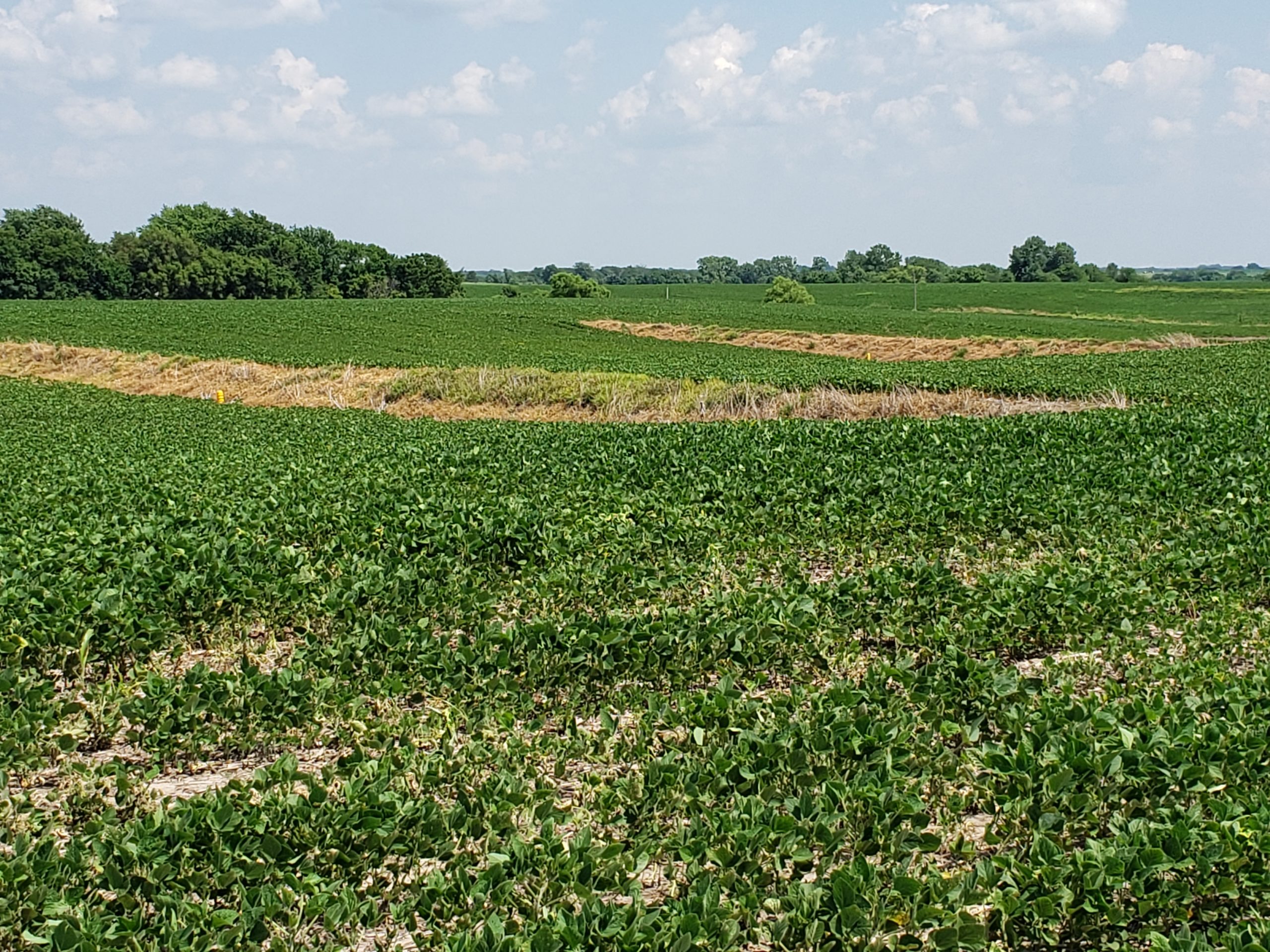 Sold: $12,500,000. / $4,621. per Acre