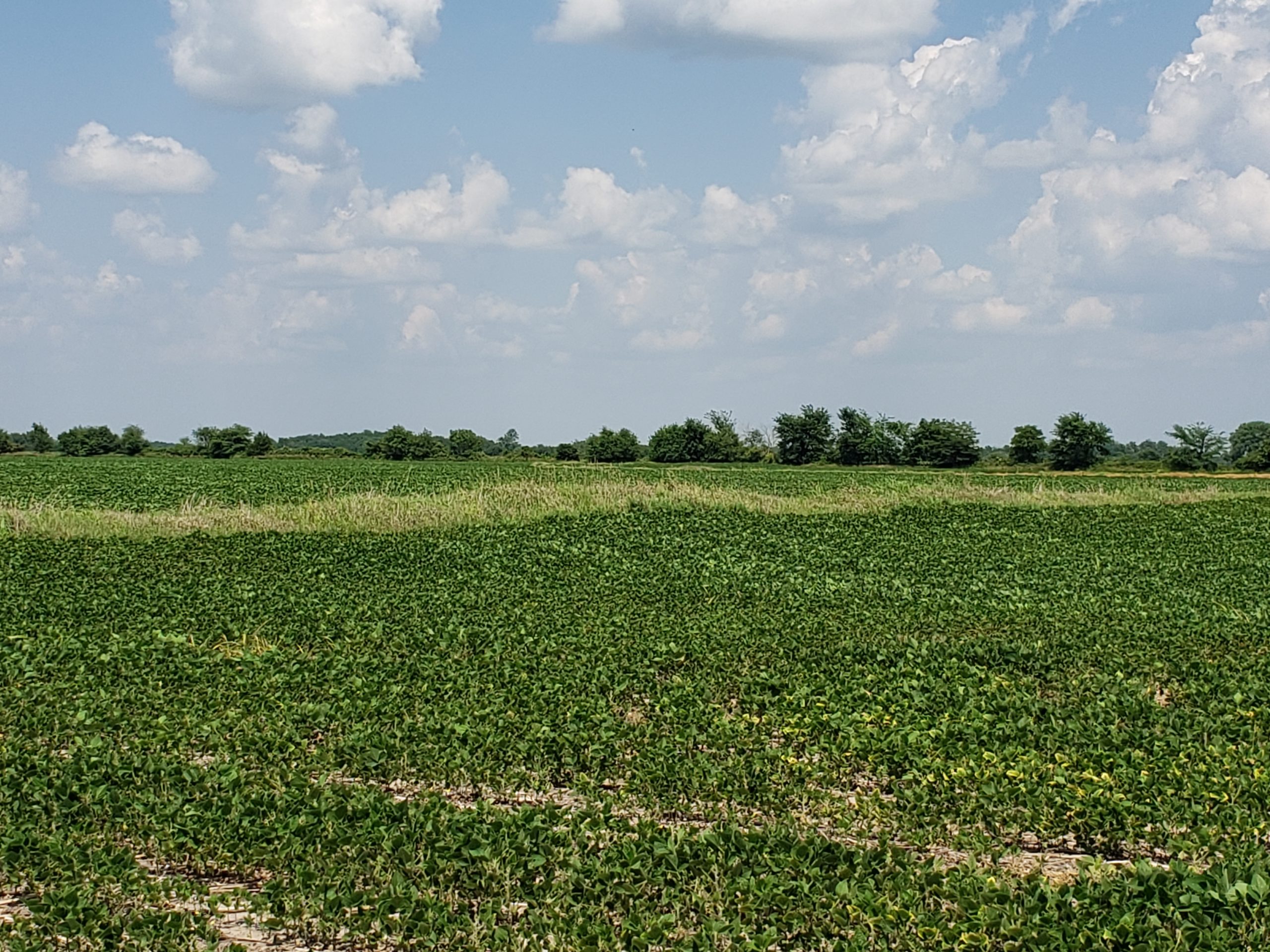 Sold: $12,500,000. / $4,621. per Acre