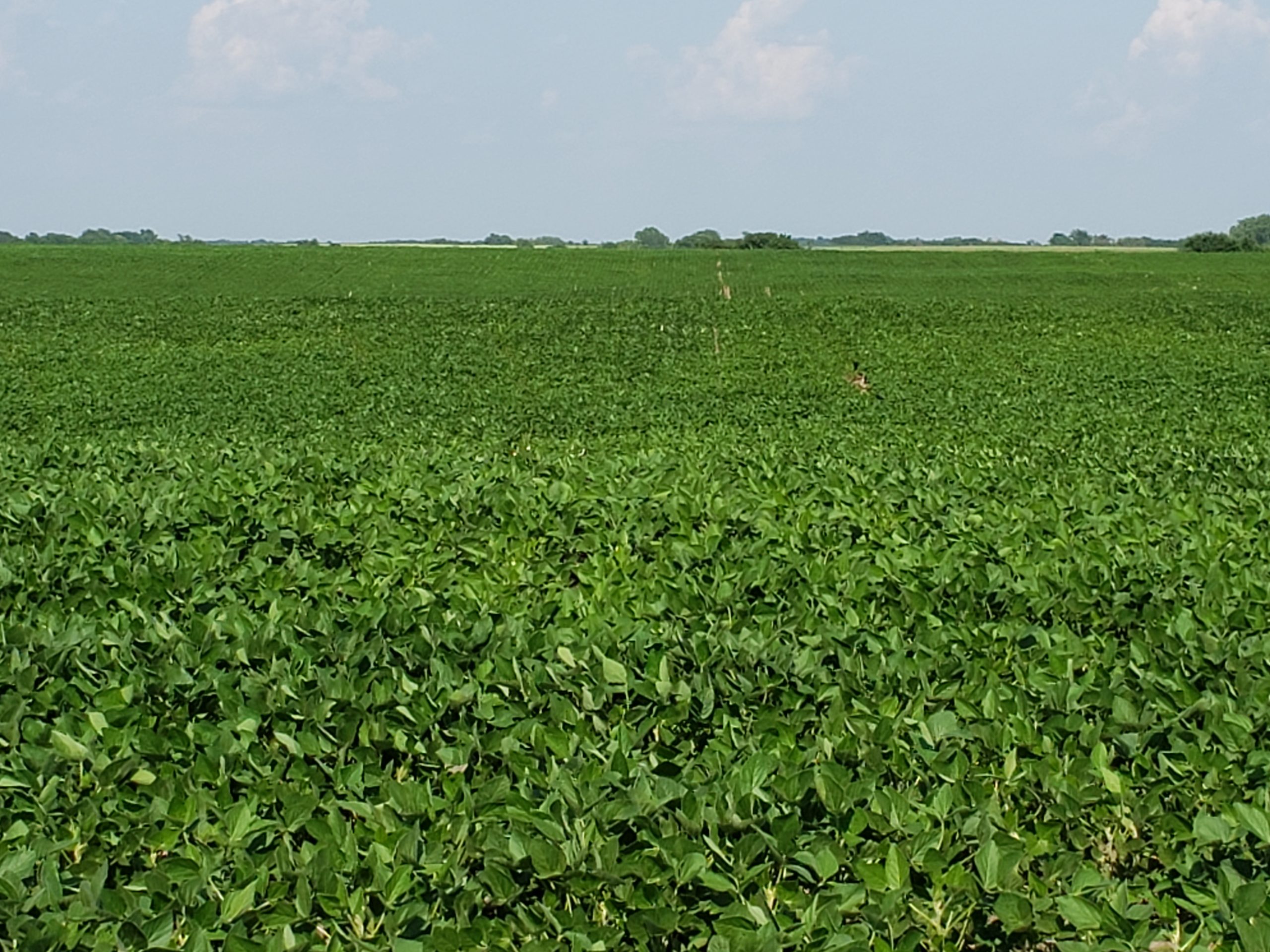 Sold: $12,500,000. / $4,621. per Acre