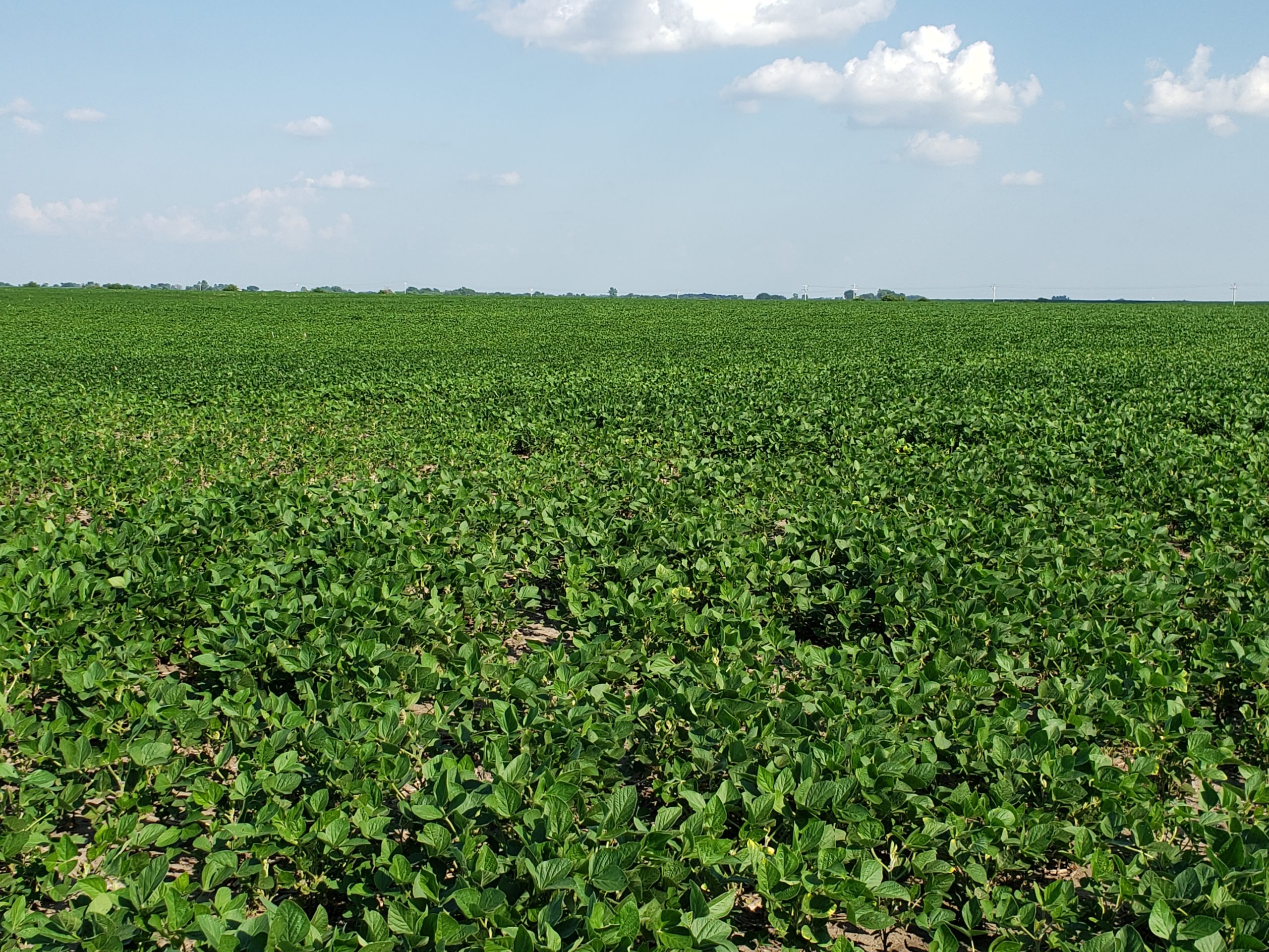 Sold: $12,500,000. / $4,621. per Acre