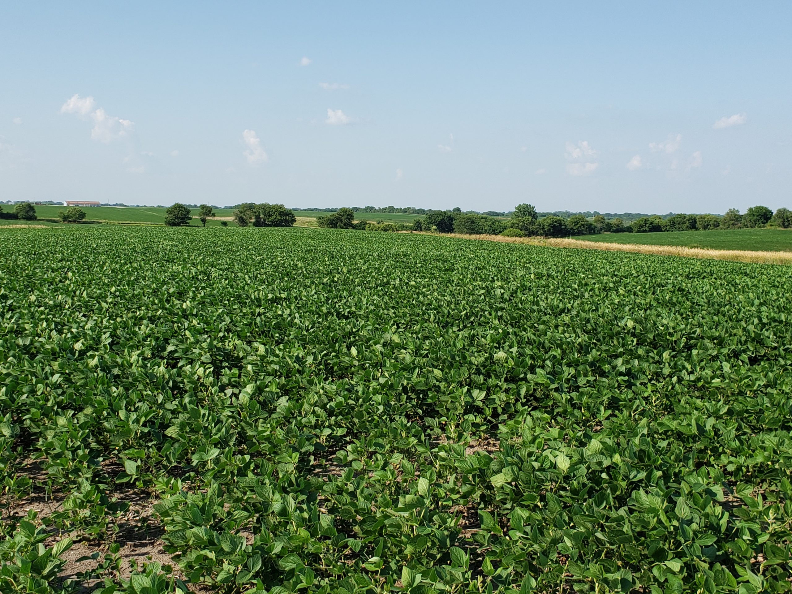 Sold: $12,500,000. / $4,621. per Acre