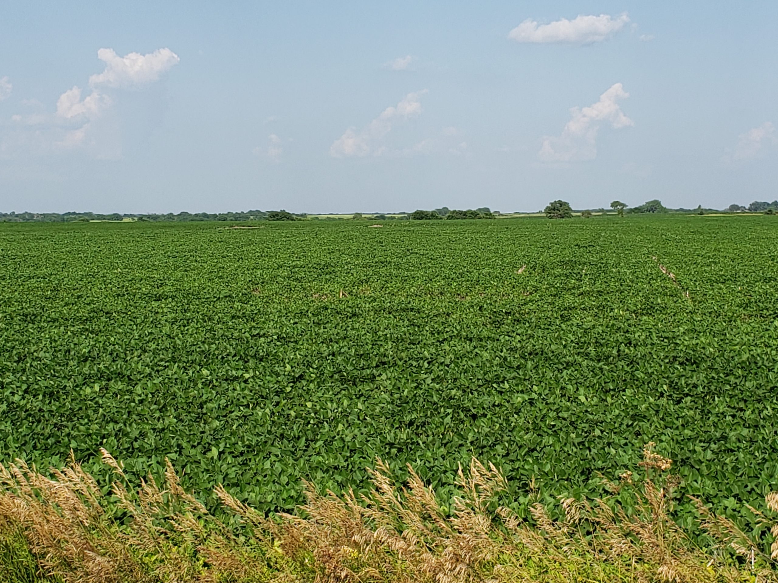 Sold: $12,500,000. / $4,621. per Acre