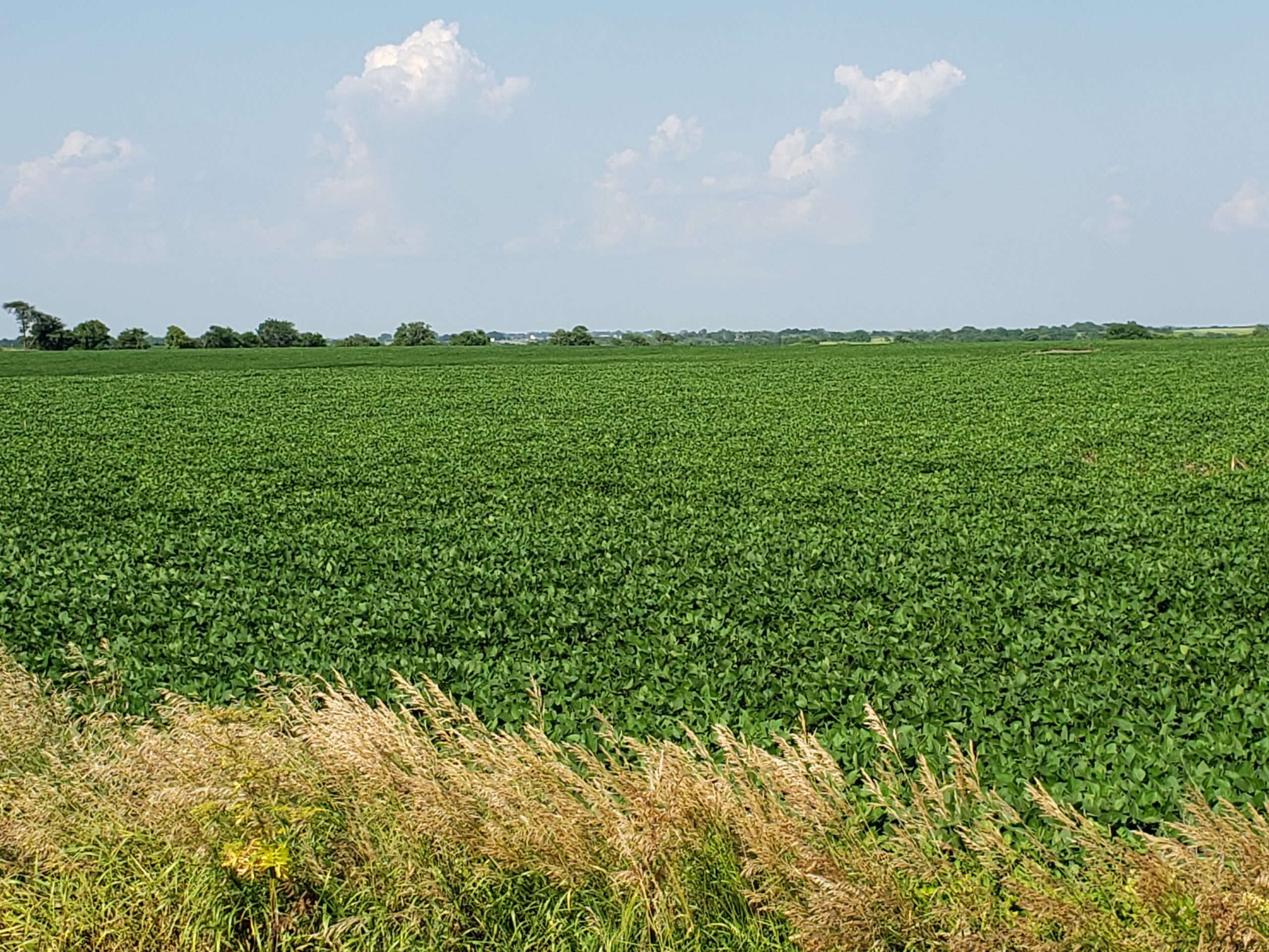 Sold: $12,500,000. / $4,621. per Acre