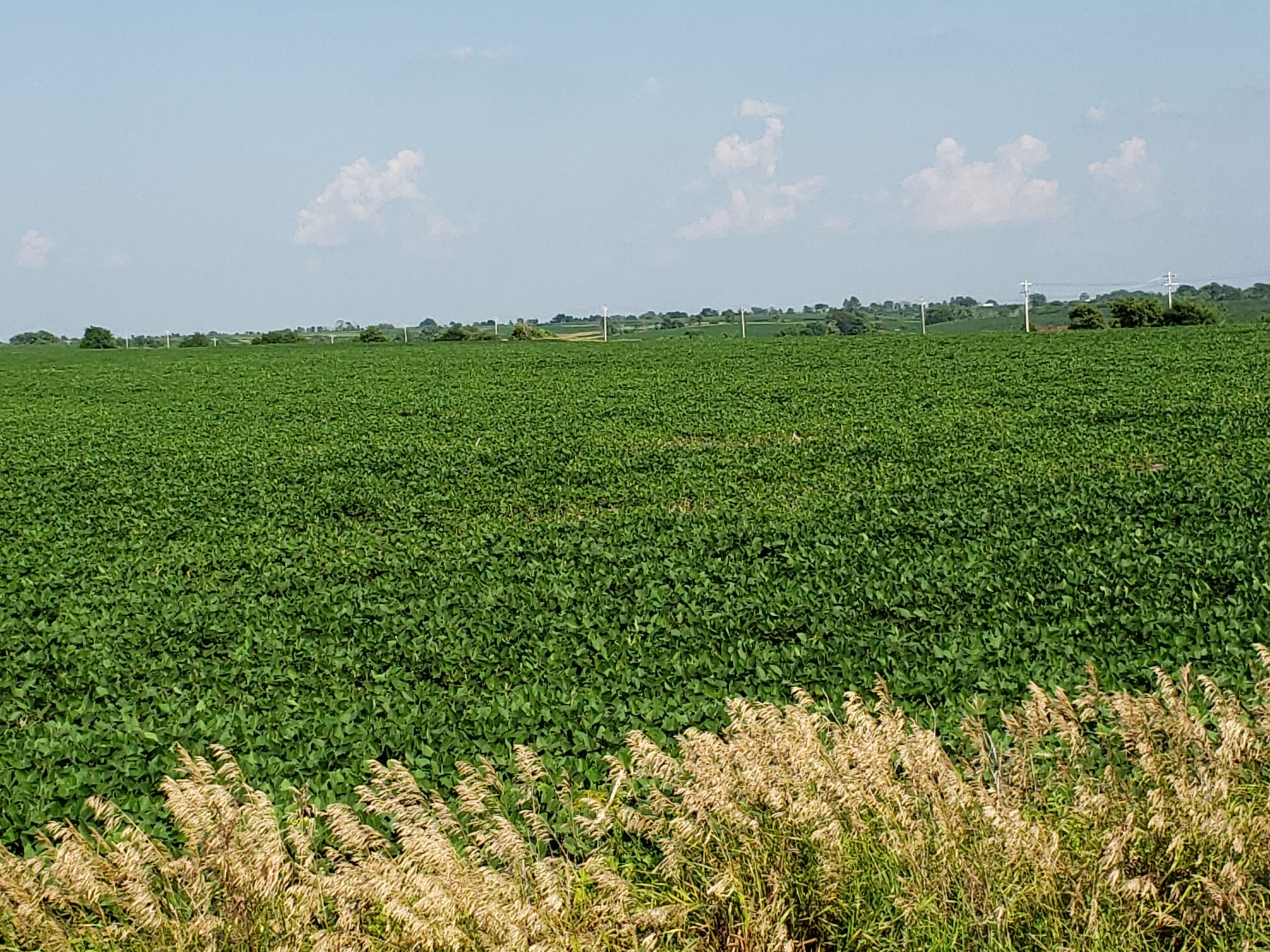 Sold: $12,500,000. / $4,621. per Acre