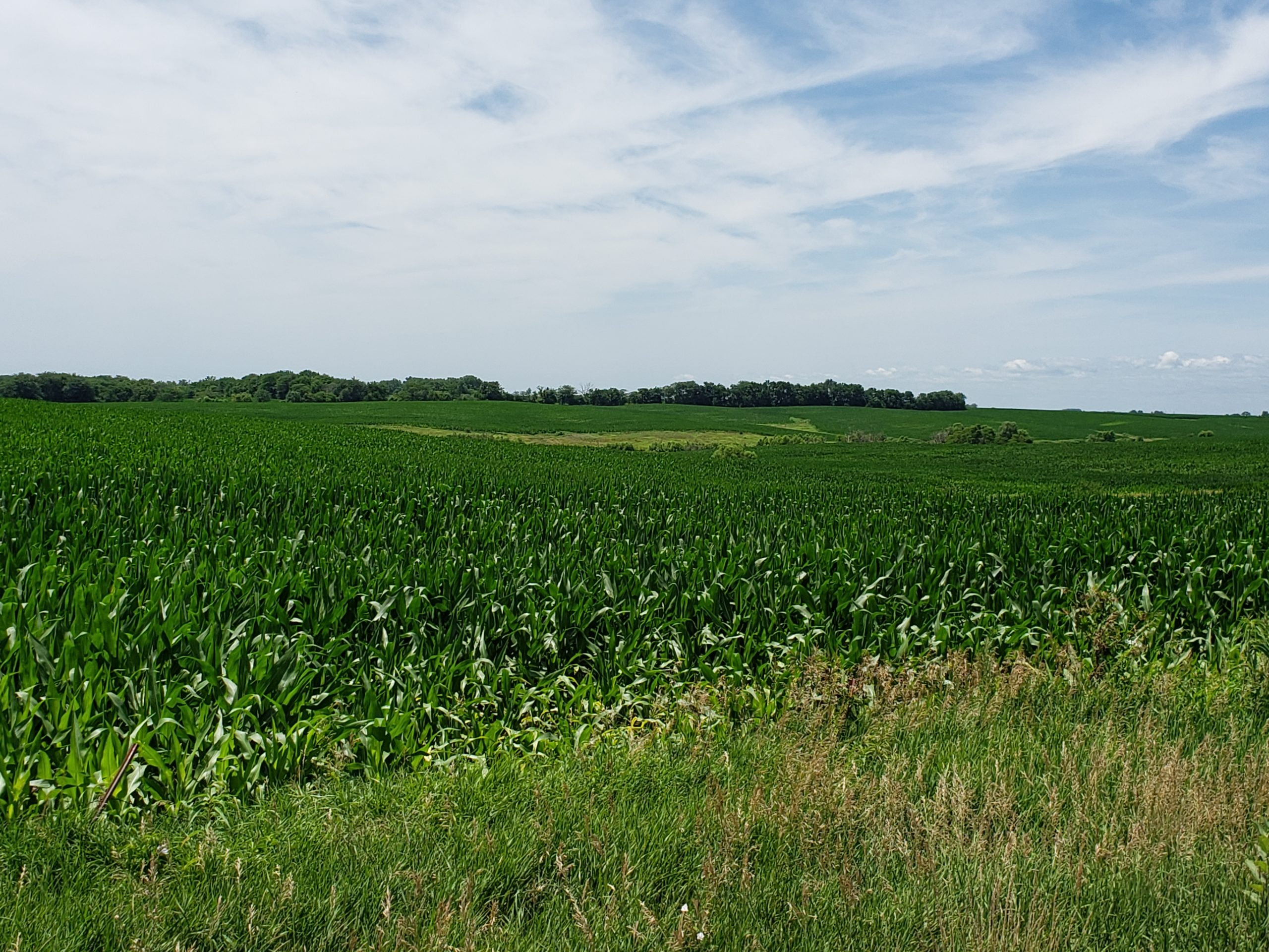 Sold: $12,500,000. / $4,621. per Acre