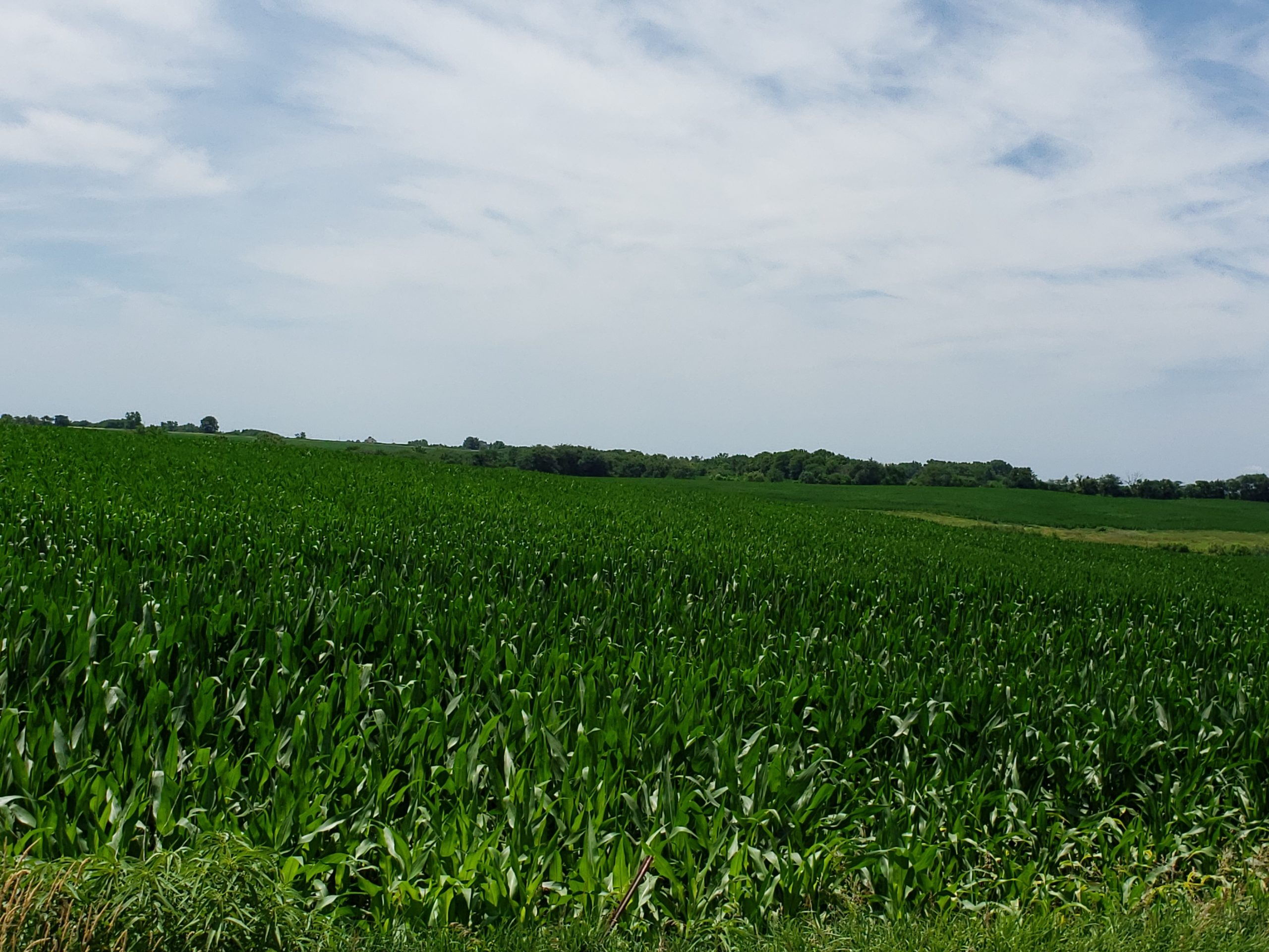 Sold: $12,500,000. / $4,621. per Acre