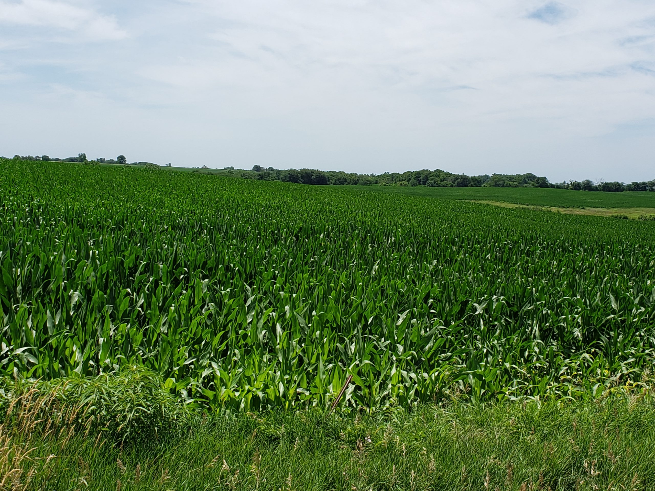 Sold: $12,500,000. / $4,621. per Acre