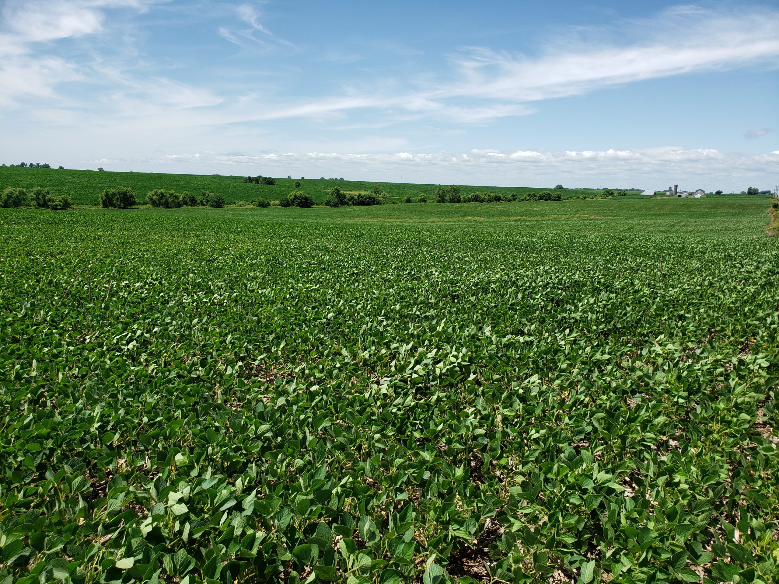 Sold: $12,500,000. / $4,621. per Acre