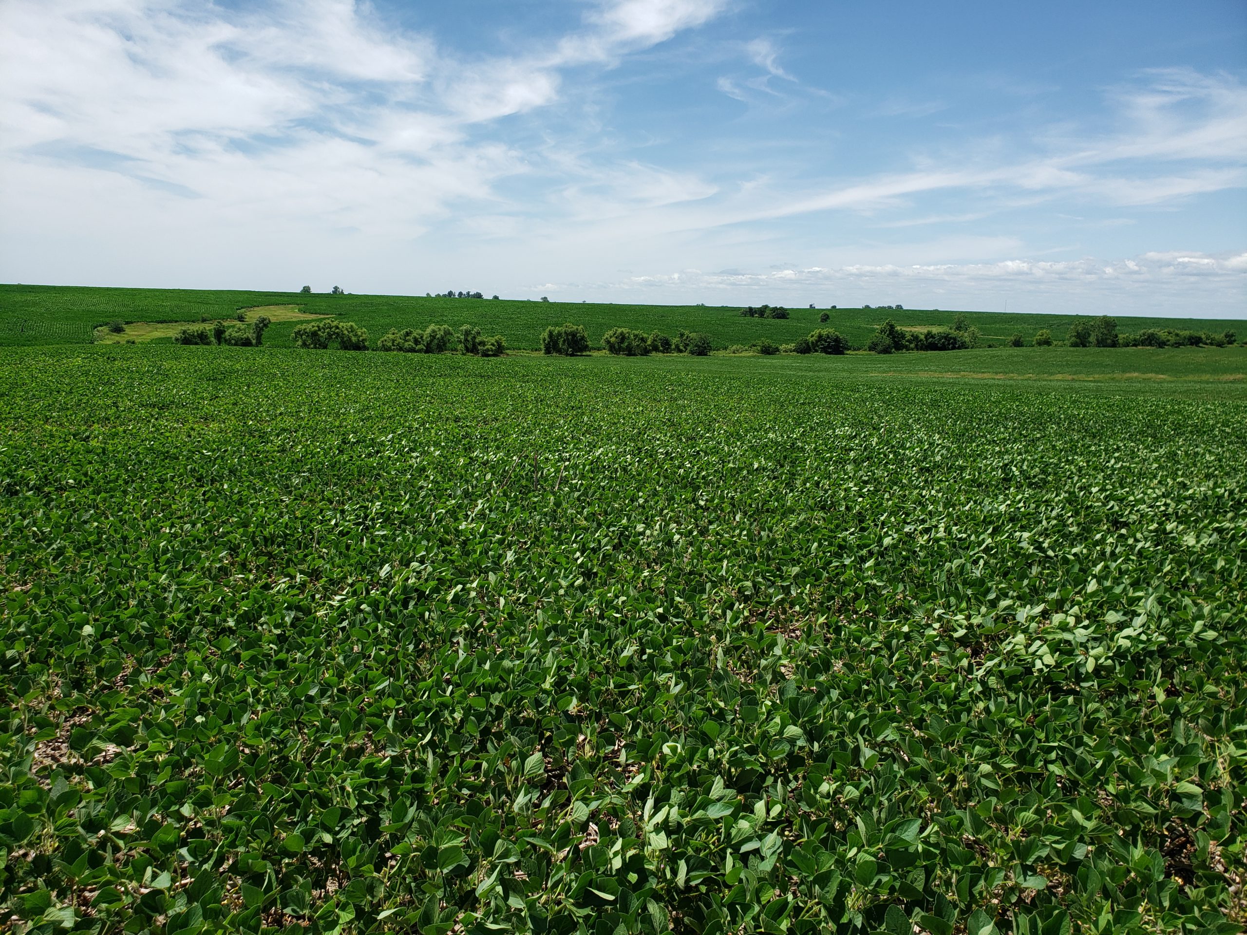 Sold: $12,500,000. / $4,621. per Acre