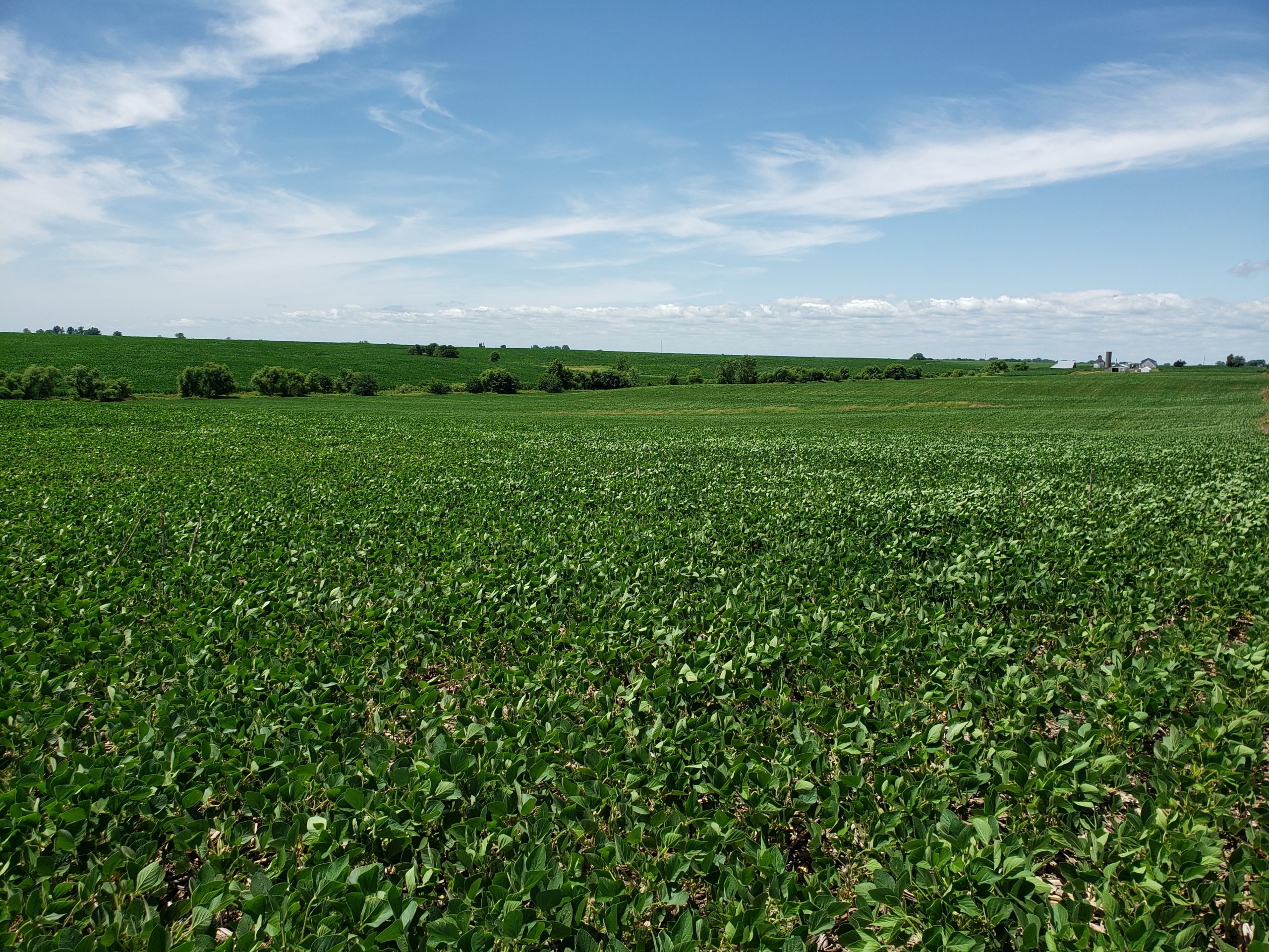 Sold: $12,500,000. / $4,621. per Acre