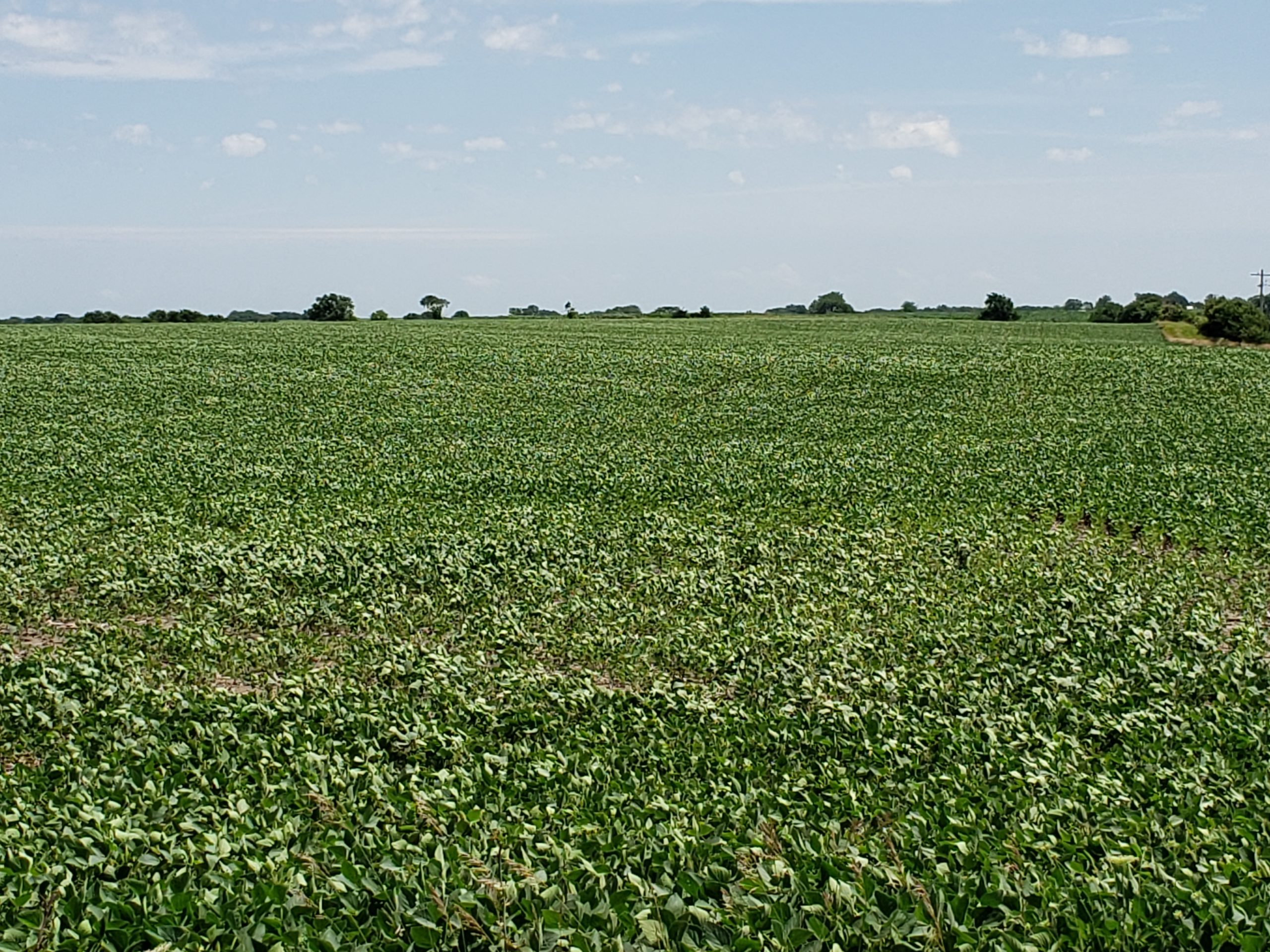 Sold: $12,500,000. / $4,621. per Acre