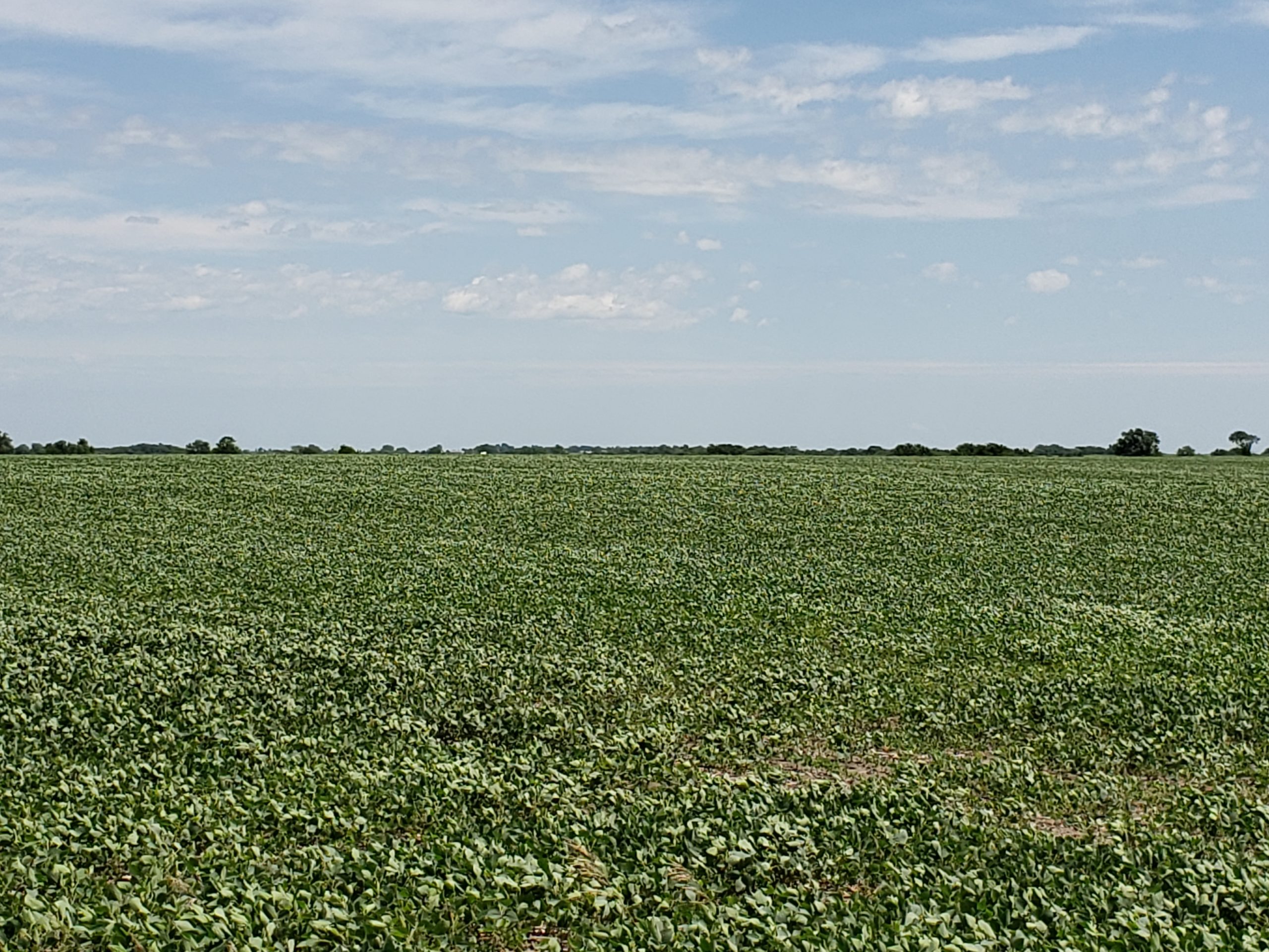 Sold: $12,500,000. / $4,621. per Acre