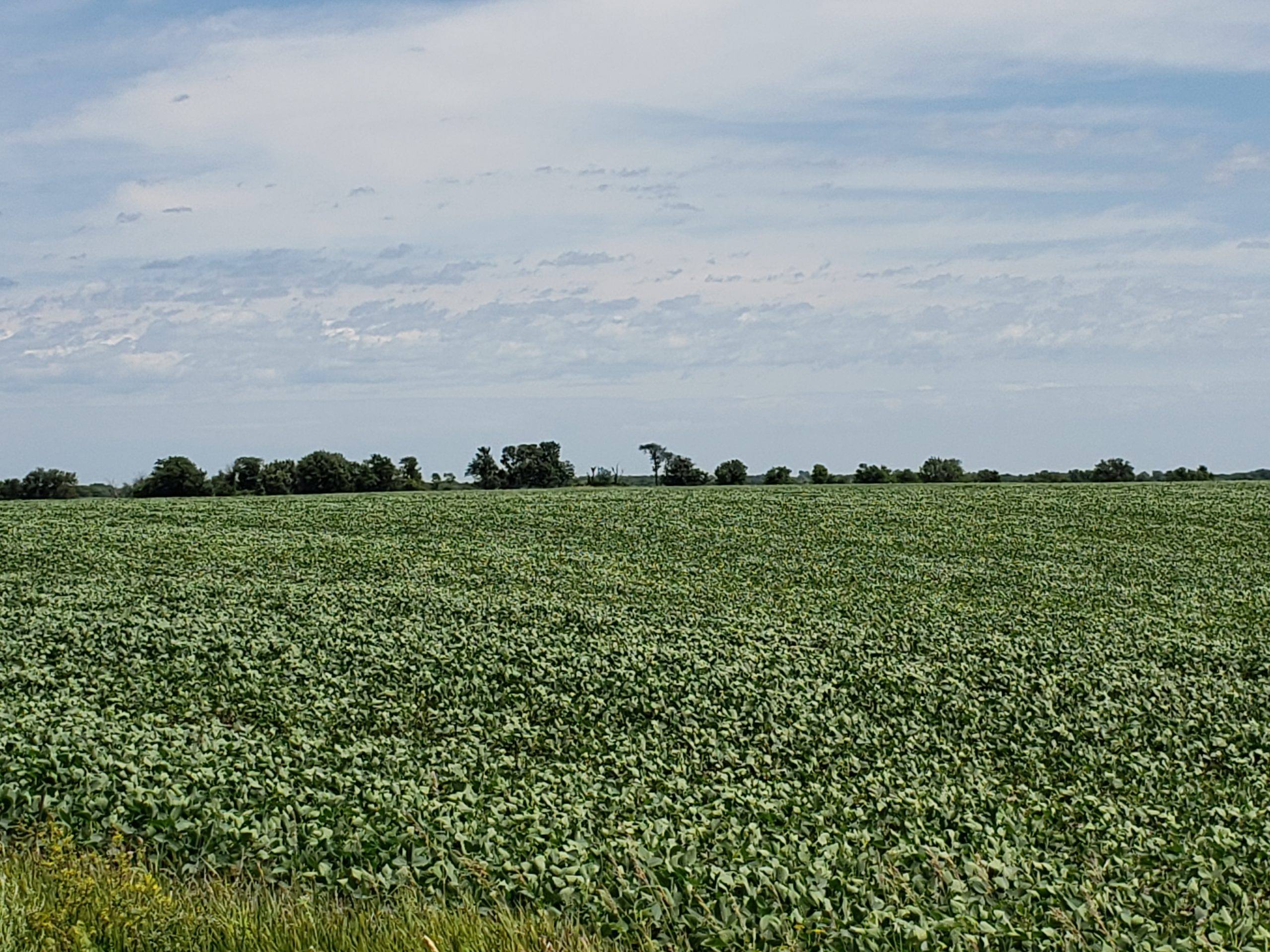 Sold: $12,500,000. / $4,621. per Acre