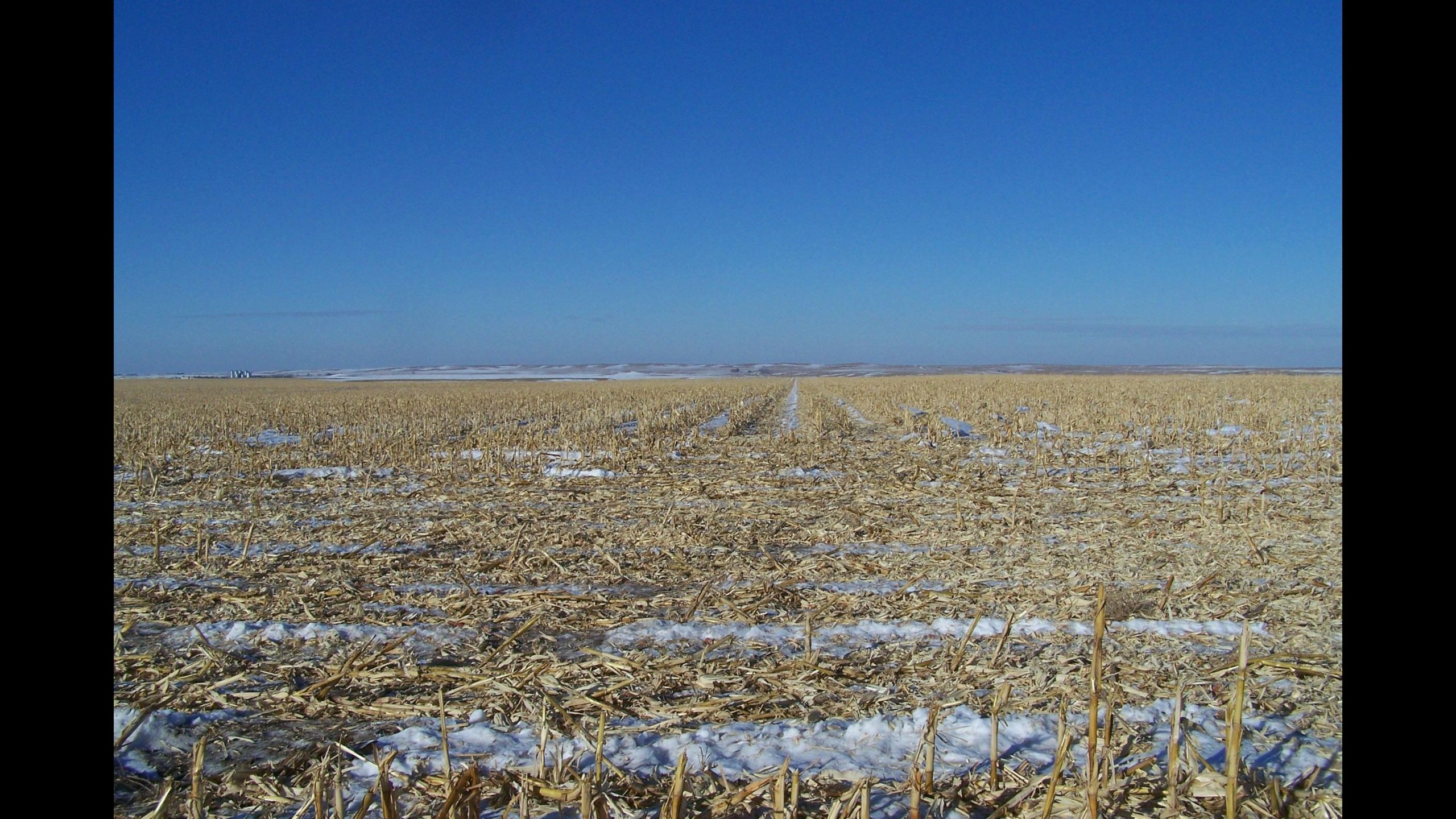 Sold: $2,300,000. / $1,691. per Acre