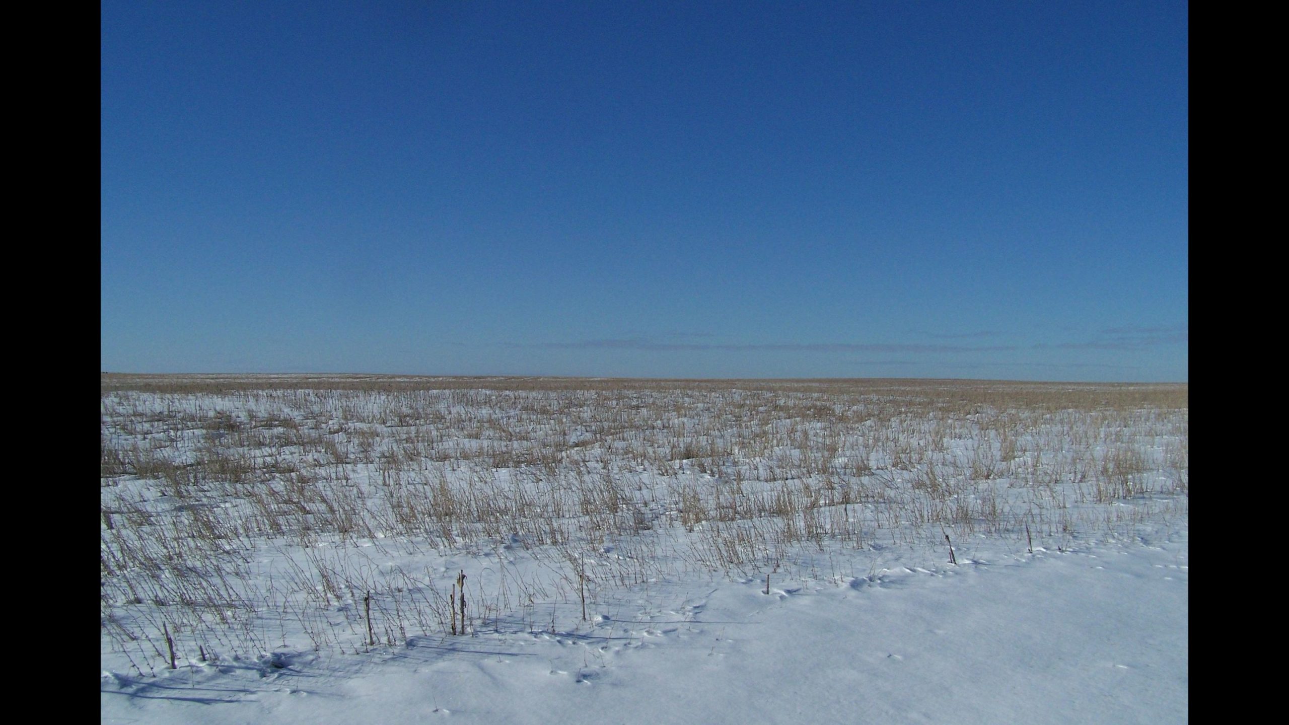 Sold: $2,300,000. / $1,691. per Acre