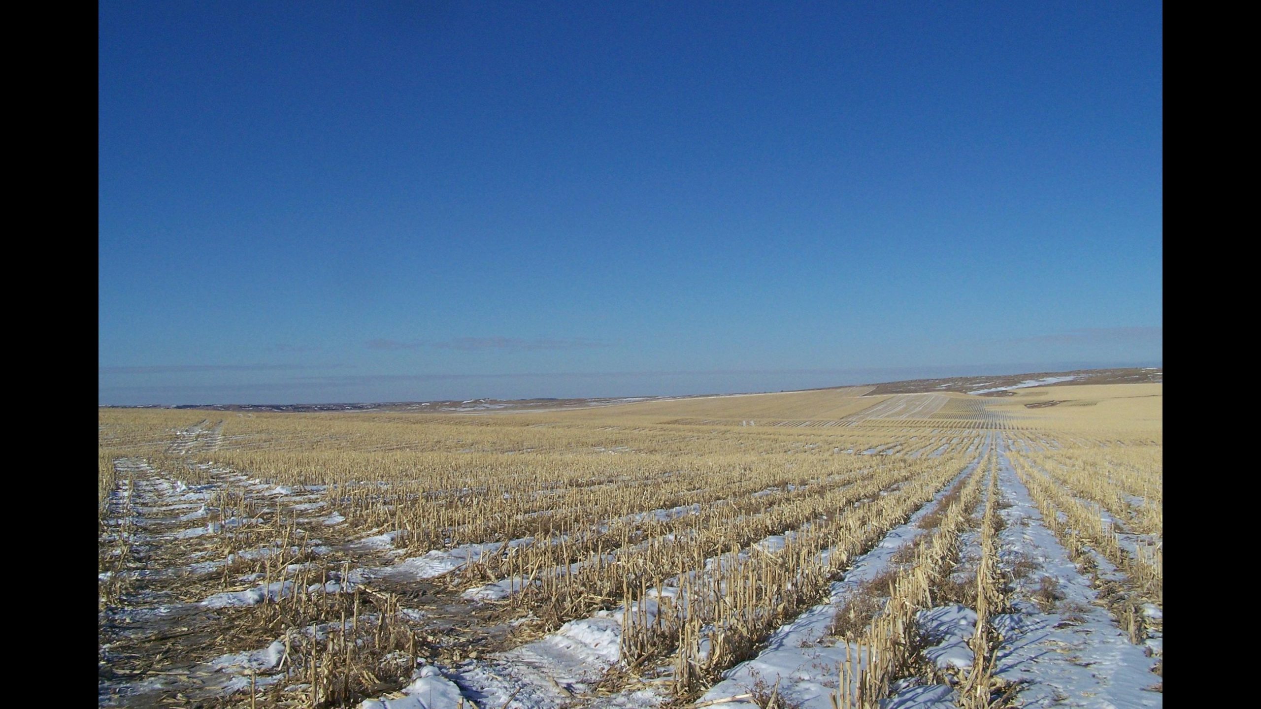 Available Nebraska & South Dakota Properties Iowa Farmland Brokers