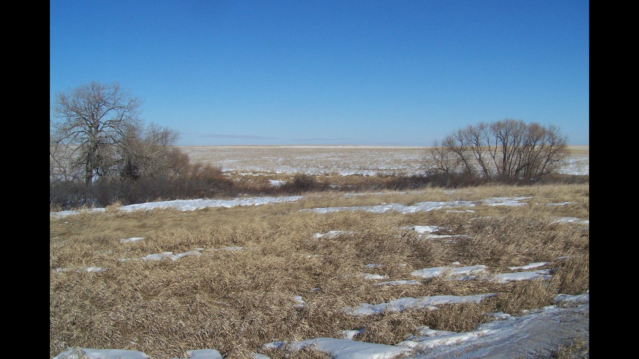 Sold: $2,300,000. / $1,691. per Acre