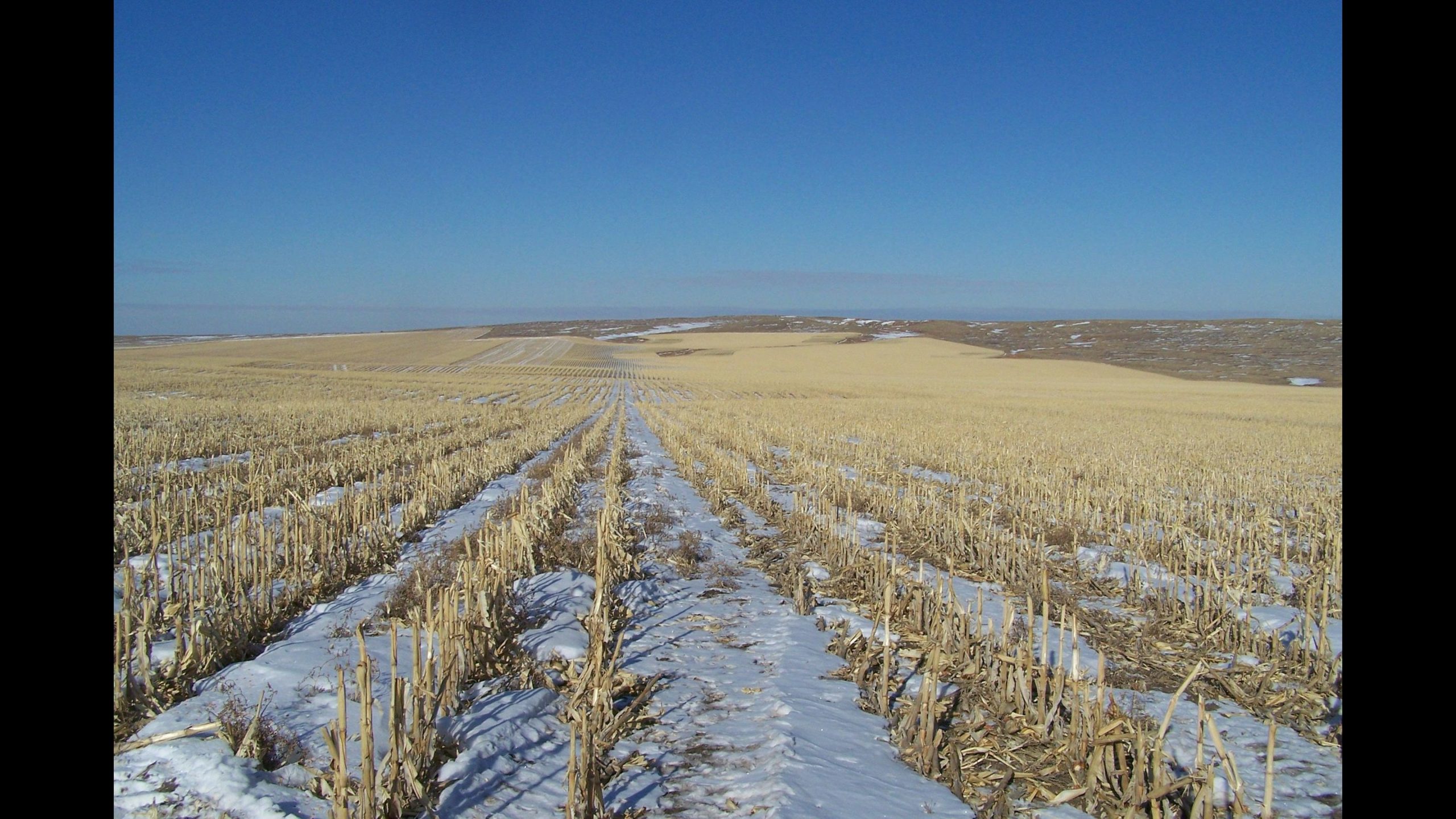 Available Nebraska & South Dakota Properties Iowa Farmland Brokers