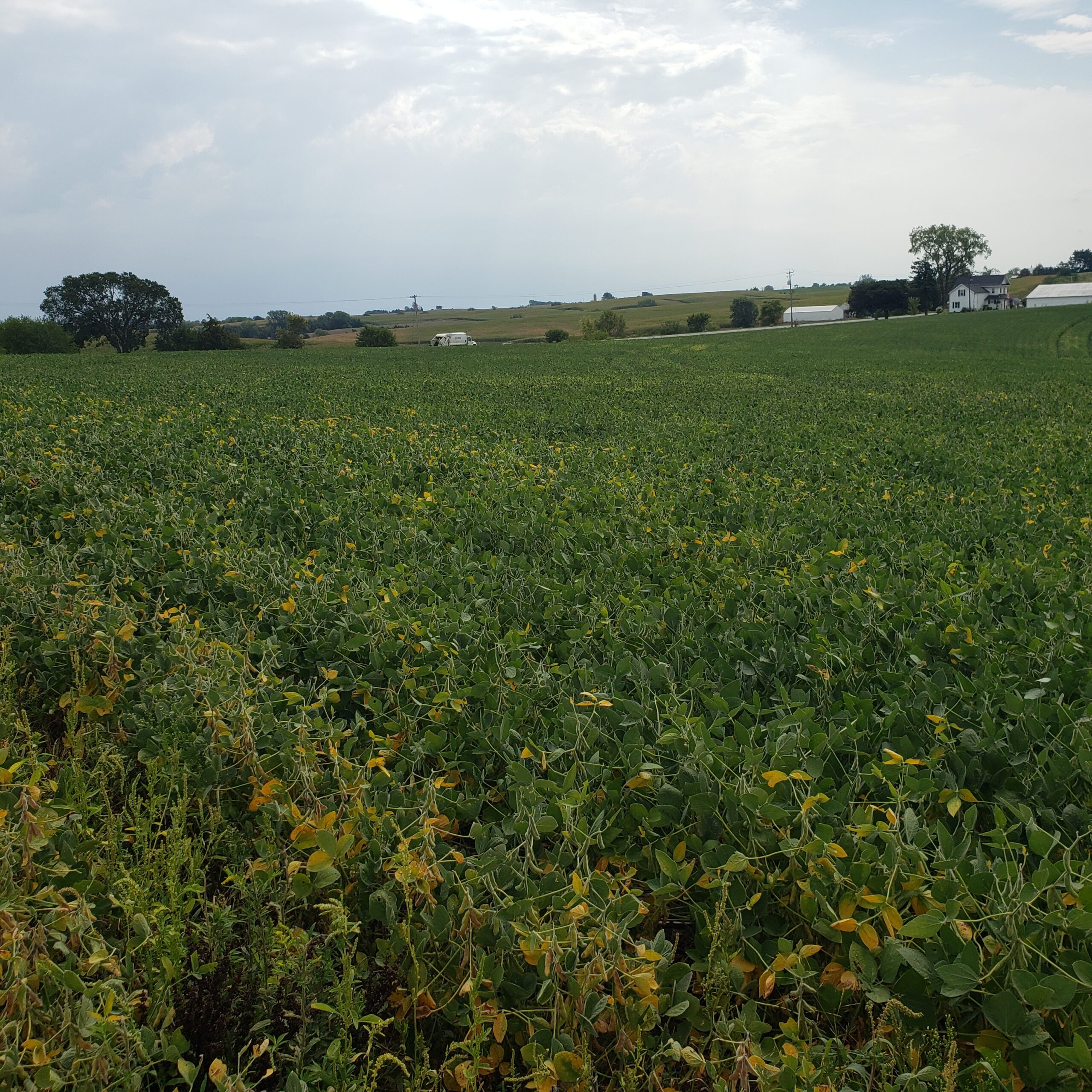 Sold: $1,040,000 / $9,203. per Acre