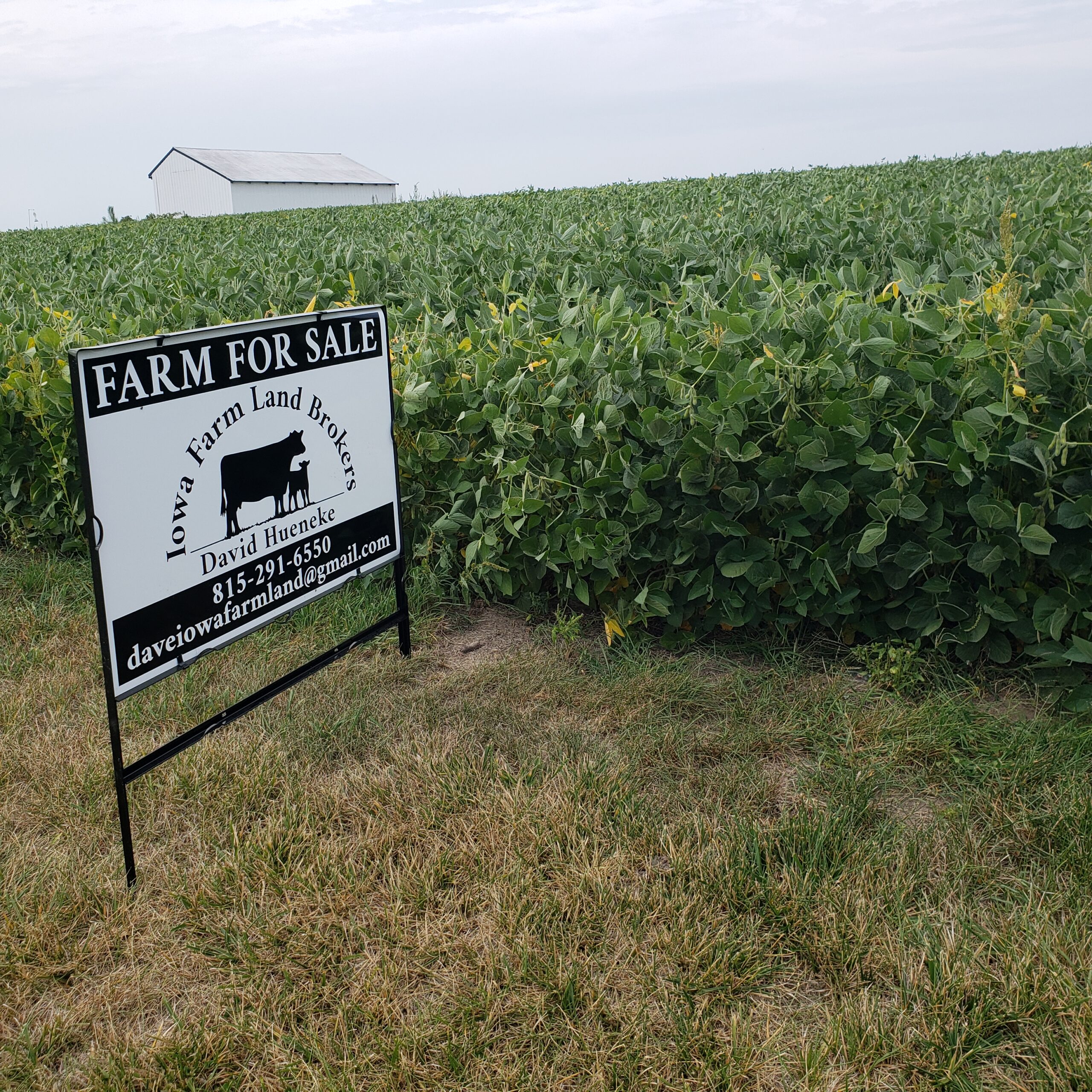 Sold: $1,040,000 / $9,203. per Acre
