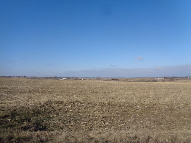 Looking W from 85th St (middle portion)