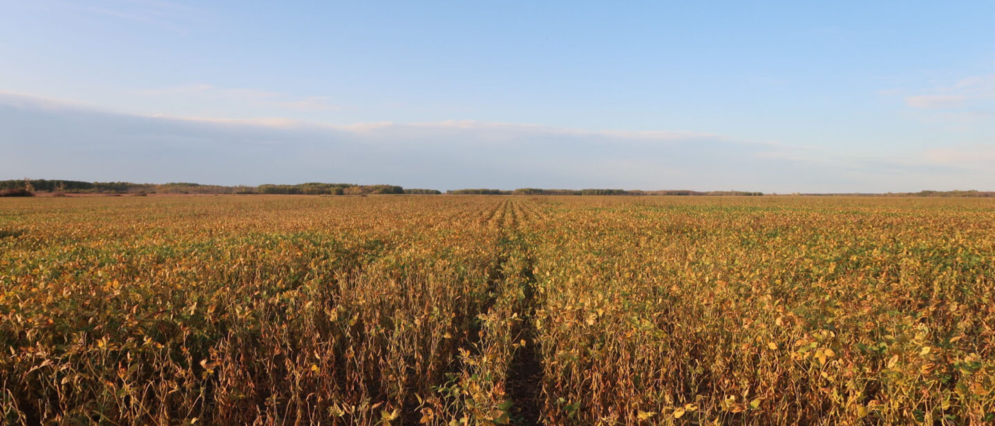 Sold: $665,000. / $2,195. per Acre