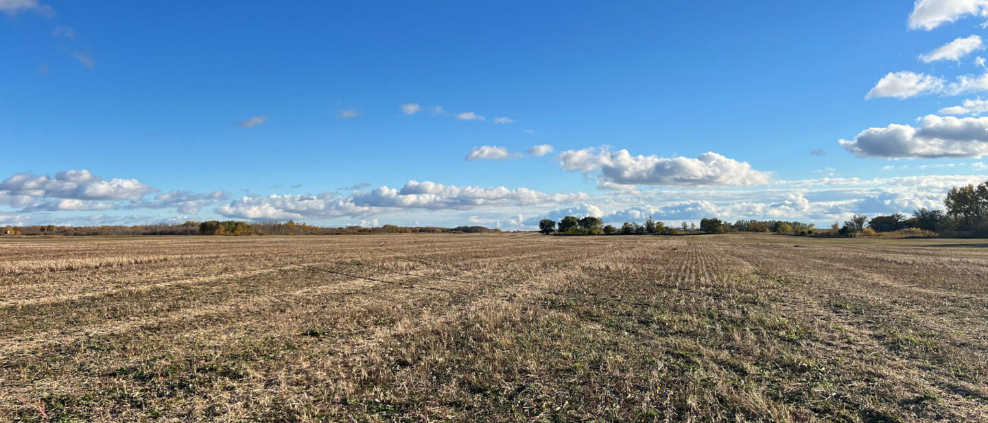 Sold: $1,075,000. / $2,689. per Acre